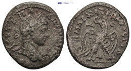 Roman Provincial coin (12.17g 25mm)
