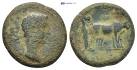 Roman Provincial coin (6.2g 19mm)