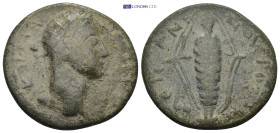 Roman Provincial coin (14.43g 31mm)