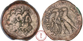 Egypte, Royaume Lagide, Ptolémée VI Philométor (180-145 avant J.-C.,) Hemidrachme, Alexandrie, Av. Tête diadémée de Zeus Ammon à droite, Rv. ΠTOΛEMAIO...