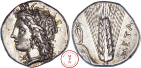 Lucanie, Métaponte, Statère, 330-280 avant J.-C., Av. Tête de Déméter à gauche coiffée d'une couronne de blés, Rv. Epi d'orge vertical, à droite META,...
