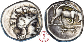 Lucanie, Thurium, Statère ou nomos, 300-280 avant J.-C., Av. Tête d'Athéna à droite coiffée du casque attique orné du skylla, Rv. Taureau chargeant à ...