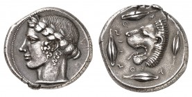 Sicile
Léontini.
Tétradrachme vers 440-430 av. J.-C. Tête laurée d'Apollon à gauche / Tête de lion à gauche, la gueule ouverte; sur le pourtour, qua...