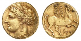Carthage
Tristatère d'électrum vers 260 av. J.-C. atelier indéterminé en Sicile. Tête de Tanit-Perséphone à gauche portant un large collier, une bouc...
