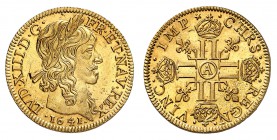 Royaume de France
Louis XIII, 1610-1643. 
Louis d'or à la mèche longue 1641 A, deuxième type, Paris. Buste lauré à droite. Date au-dessous / Croix f...