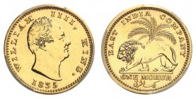 Compagnie britanniques des Indes orientales
Guillaume IV, 1830-1837. 
Mohur 1835, Bombay. REFRAPPE sur FLAN BRUNI. Tête nue à droite. Date au-dessou...