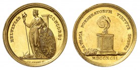 Bâle
Médaille en or au poids de 20 ducats 1792, par J.F. Huber. Personnification de la ville de Bâle debout à gauche, tenant de la main droite un bon...