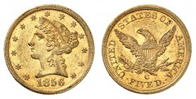 5 Dollars 1856 C, Charlotte. Tête de la Liberté à gauche, entourée de treize étoiles. Date en dessous / Ecusson sur une aigle aux ailes éployées, tena...