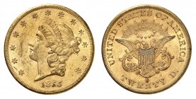 20 Dollars 1855 S, San Francisco. Tête de la Liberté à gauche, entourée de treize étoiles. Date en dessous / Ecusson sur une aigle aux ailes éployées....
