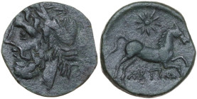 Greek Italy. Northern Apulia, Arpi. AE 16.5 mm. c. 325-275 BC. Obv. Laureate head of Zeus left. Rev. Horse rearing right; above, ten-rayed star; below...