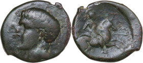 Greek Italy. Northern Apulia, Canusium. AE 22 mm, c. 250-225 BC. Obv. Head of young male left. Rev. [ΚΑΝΥΣΙΝΩΝ]. Warrior, holding spear, on horseback ...