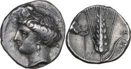 Greek Italy. Southern Lucania, Metapontum. AR Stater, c. 340-330 BC. Obv. Head of Demeter left, hair tucked up under barley wreath. Rev. ΜΕΤΑ. Seven-g...
