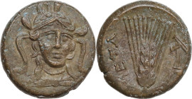 Greek Italy. Southern Lucania, Metapontum. AE 16.5 mm, c. 300-250 BC. Obv. Head of Athena facing slightly right, wearing pearl necklace and triple-cre...