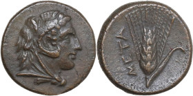 Greek Italy. Southern Lucania, Metapontum. AE 15.5 mm, c. 300-250 BC. Obv. Head of Herakles right, wearing lion skin. Rev. Barley-ear with leaf to rig...