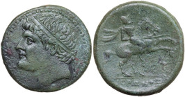 Sicily. Syracuse. Hieron II (274-215 BC). AE 28 mm, c. 240-215 BC. Obv. Diademed head left; behind, symbol(?). Rev. Warrior on horseback right, holdin...