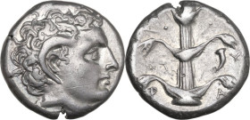 Africa. Cyrenaica, Cyrene. Magas as Ptolemaic governor (c. 300-282/75 BC). AR Didrachm, c. 308-277 BC. Obv. Bare head of Apollo-Carneius right, with h...