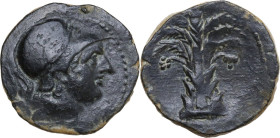 Africa. Zeugitania, Carthage. AE Half Unit. Uncertain Iberian mint under Carthaginian occupation, c. 221-218 BC. Obv. Helmeted head of Ares to right. ...