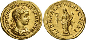 Severus Alexander, 222 – 235
Aureus 233-235, AV 21 mm, 6.46 g. IMP C M AVR SEV ALEXAND AVG Laureate, draped and cuirassed bust r. Rev. LIBERALITAS AV...