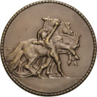 Schifffahrt
 Bronzemedaille 1929. Auf die Wildwasserregatta an der Enns. Antiker Mann bändigt Triga / 3 Zeilen Gravur. 70 mm, 106,91 g Hauser - Kl. K...