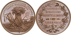 Bayern
Prinzregent Luitpold 1886-1912 Bronzemedaille 1891 (Drentwett) Ehrenpreis der landwirtschaftlichen Ausstellung bei Wasserburg am Inn. Landwirt...