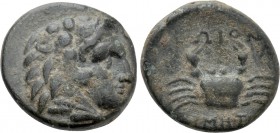 CARIA. Kos. Ae (Circa 250-210 BC). Demetrios, magistrate.