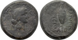 MYSIA. Parium. Julius Caesar (Circa 45 BC). Ae. C. Matuinus and T. Ancius, aediles.