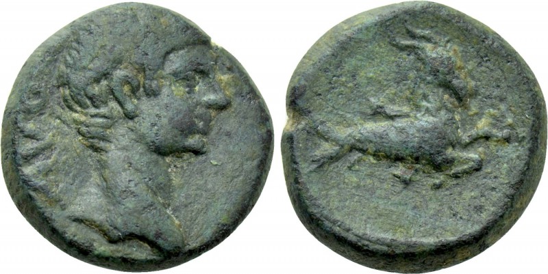 MYSIA. Parium. Augustus (27 BC-14 AD). Ae Quadrans. 

Obv: AVG. 
Bare head ri...