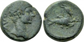 MYSIA. Parium. Augustus (27 BC-14 AD). Ae Quadrans.