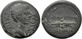 LYDIA. Philadelphia. Caligula (37-41). Ae. Zenon, grammateus philokaisar.