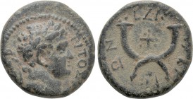 DECAPOLIS. Gadara. Titus (79-81). Ae. Dated CY 137 (73/4).