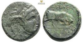 Seleukid Kings of Syria, Seleukos I Nikator (312-281 BC) AE 280s BC Seleucia II.
Obv: Laureate head of Apollo right.
Rev: BAΣΙΛΕΩΣ ΣEΛEYKOY, Bull butt...