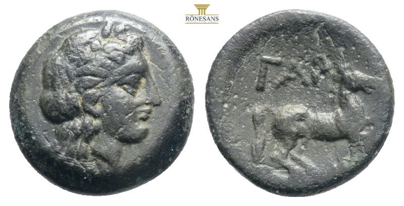 Gargara AE, head of Apollo / horse
Gargara , Troas. AE9 , c. late 3rd to early 2...