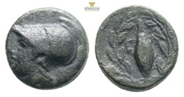 Aeolis, Elaia (2nd-1st century BC) AE 
Obv: Helmeted head of Athena to left
Rev: Barley-grain, E-Λ across fields; all within laurel wreath.
Ref: SNG C...