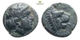TROAS. Antandros. AE (4th-3rd centuries BC). 
Laureate head of Apollo right.
Rev. Head of lion right; grape bunch above. TROAS. Antandros. Ae (4th-3rd...