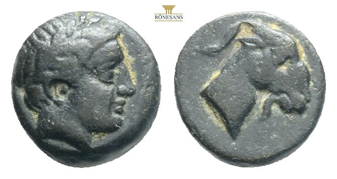 Aeolis, Aegae (ca 3rd cent. BC) AE
Obv: Laureate head of Apollo right
Rev: Goat'...