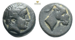 Aeolis, Aegae (ca 3rd cent. BC) AE
Obv: Laureate head of Apollo right
Rev: Goat's head right.
Ref: SNG Copenhagen 4. 0,98g 8,9mm