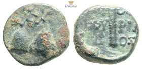 Colchis. Dioskourias 150-100 BC.
Bronze ÆCaps of the Dioskouroi surmounted by stars / ΔI-OΣ KOΥ-ΡIA Δ-OΣ, thyrsos.
very fine
SNG BM 1021; SNG Copenhag...