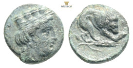 MYSIA Plakia. Ae, 4th century BC
Obv: Turreted head of Tyche right.
Rev: ΠΛAKIA - Lion with prey right; below, grain ear right.
BMC 5 1,30g 10,8mm