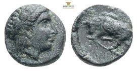 Mysia, Gambrion (4th century BC) AE 
Obv: Laureate head of Apollo left
Rev: Bull butting left; star above.
Ref: SNG France 906-7. 1,03g 10,2mm