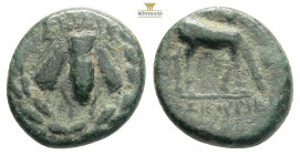 GREEK COINS
IONIA
- Ephesus
Bronze, 280-258 2,65g 14,4mm