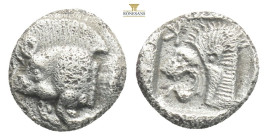 Greek MYSIA, Kyzikos (Circa 450-400 BC) AR obol 
Obv: Forepart of boar left; to right, tunny upward.
Rev: Head of roaring lion left; 0,76g 9,3mm