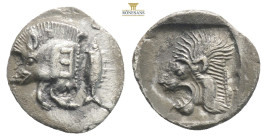 Mysia, Kyzikos. AR Hemiobol, . Circa 450-400 BC.
Obv: Forepart of boar left; to right, tunny upward.
Rev: Head of roaring lion left; star to upper lef...