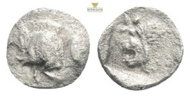 Mysia, Kyzikos. AR Hemiobol, . Circa 450-400 BC.
Obv: Forepart of boar left; to right, tunny upward.
Rev: Head of roaring lion left; star to upper lef...