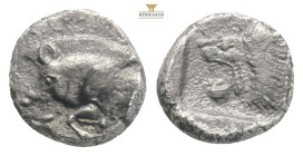Mysia, Kyzikos. AR Hemiobol, . Circa 450-400 BC.
Obv: Forepart of boar left; to right, tunny upward.
Rev: Head of roaring lion left; star to upper lef...