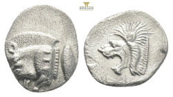Greek MYSIA, Kyzikos (Circa 450-400 BC) AR obol 
Obv: Forepart of boar left; to right, tunny upward.
Rev: Head of roaring lion left; 0,95g 12mm