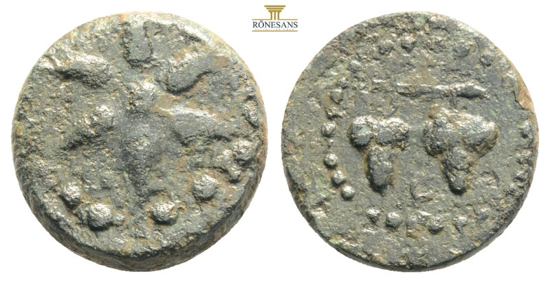 CILICIA, Soloi-Pompeiopolis. . Æ . Two grape clusters on stalk / Six-pointed sta...