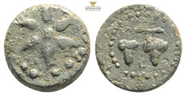 CILICIA, Soloi-Pompeiopolis. . Æ . Two grape clusters on stalk / Six-pointed star. SNG Levante 885 3,47g 14,9mm
