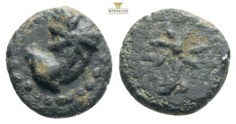 Pontus. Uncertain circa 130-100 BC.
Bronze Æ 1,91g 12,8mm