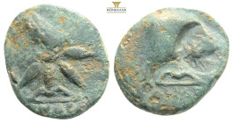 PONTOS. Uncertain (possibly Amisos). Ae (130-100 BC).AE 4,82g 20,2mm