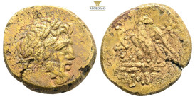 PONTOS.Amisos.Mithradates VI.(Circa 85-65 B)C.Ae.

Obv : Laureate head of Zeus right.

Rev : AMIΣOY.
Eagle standing left on thunderbolt, wings open, h...